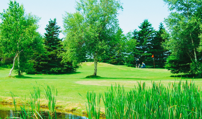 Darnley Greens Golf Course